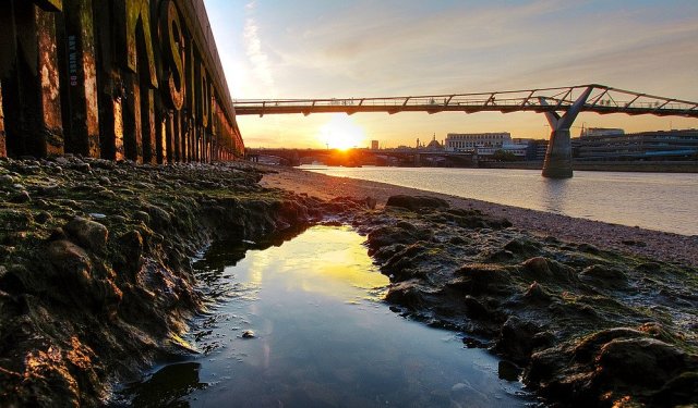 Millennium Bridge