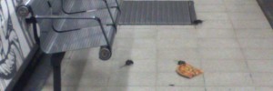 13548_0807b.ee