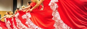 13655_flamencoschoolpic