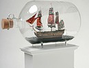 13674_shipinbottle