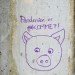 13684_170709swineflu and swine flu comes