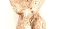 13687_mandrakecharm