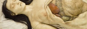 13866_anatomicalvenus