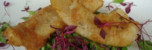 13881_fish Photo by su-lin.