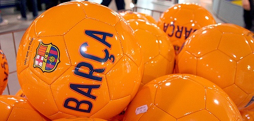 Barc02a.jpg