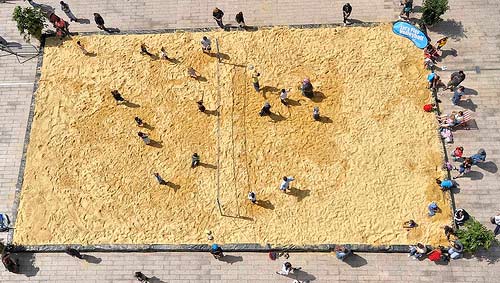 beachvolleyballbarking.jpg