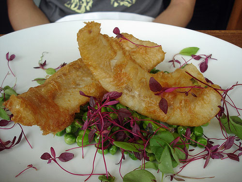 fish.jpg