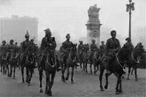 menonorses.jpg