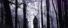 13894_herne 13894_herne
