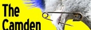 13928_camdenfringeadvert