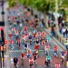 13973_freewheel Photo by zefrog