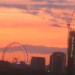 13989_081009PornographyReviewFinal London Eye from Peckham Rye car park by Matt From London