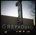 1908_greyhound.jpg