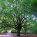 14328_0709b.ee 14328_0709b.ee