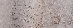 14362_sandmermaid