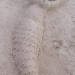 14362_sandmermaid