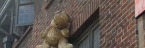 14391_Hangingbear