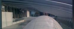 14434_darwiniifromabove