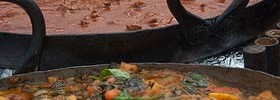 14437_curry_kenchie 14437_curry_kenchie