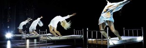 14438_Bounce_Insane-in-the-Brain_beds