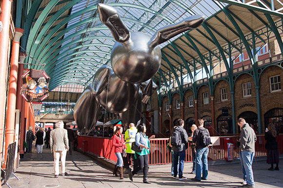 0810_rabbit.jpg