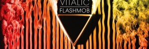 14655_0110.vitalic