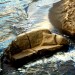 14702_0510c.ee