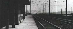 14731_memoryhouse