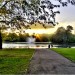 14751_Victoria_Park 14751_Victoria_Park