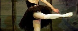 14907_blackswanattitude A pose you won't strike in the first couple of weeks but something to aspire to: image by Linda Rich