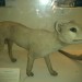 14941_museumthylacine 14941_museumthylacine