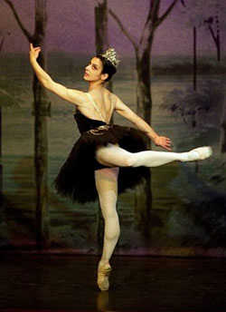 blackswanattitude.jpg