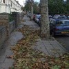 15094_leafykilburn 15094_leafykilburn