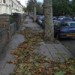 15094_leafykilburn 15094_leafykilburn