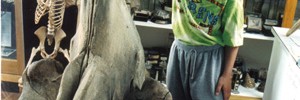 15300_whaleandchild