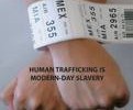 15389_human-traffic-fists
