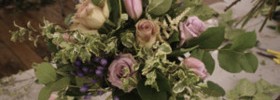 15400_SweetPea1 15400_SweetPea1