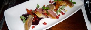 15425_PHpigeon