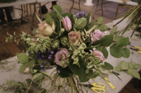SweetPea1.jpg