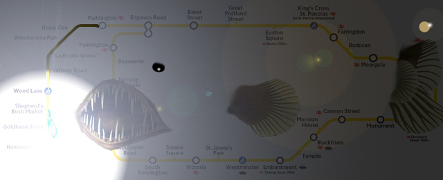 Deep Sea Angler Fish