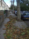leafykilburn.jpg