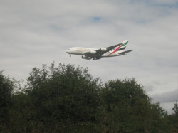 plane_13Nov09.jpg