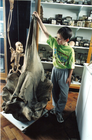 whaleandchild.jpg