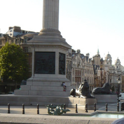 092109HawksPigeons.jpg