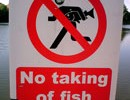 15456_nofishing