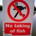 15456_nofishing 15456_nofishing