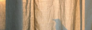 15677_birdshadow