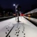 15703_snowHG_18Dec09 Image / Photomish Dan
