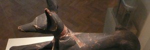 15707_jackal