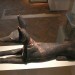 15707_jackal 15707_jackal